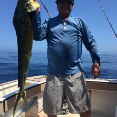 Mike Long profile photo