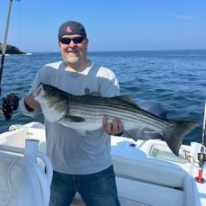 Tiggertoo Charters