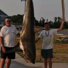 Beau Fibelkorn profile photo