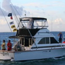 Gregory Hopping profile photo