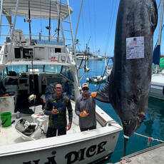 Jim Wigzell profile photo