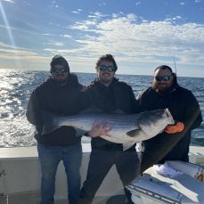 Buck Segar profile photo