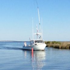 Mike Parks profile photo