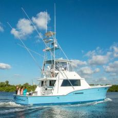 Joshua Montpellier profile photo