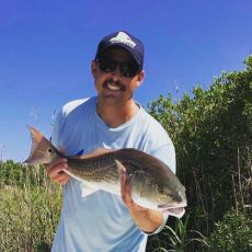 Si Nelson profile photo