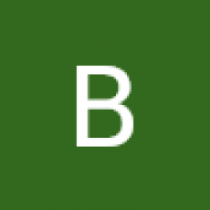 Bryan Scallions
