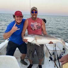 Mark McGuire profile photo