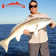 Eddie Peterson profile photo