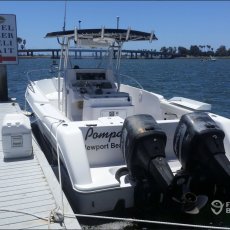 Jack Vincent profile photo