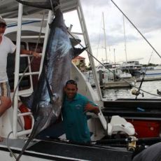 Malolo Fisher Sports profile photo