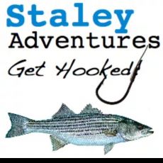 Jay Staley profile photo