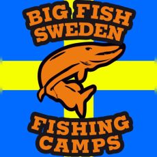 Big Fish Sweden profile photo