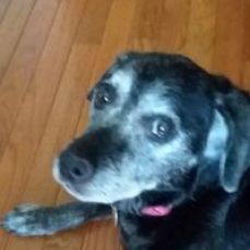 Just Add Water Charters