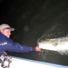 Bob Paxson profile photo