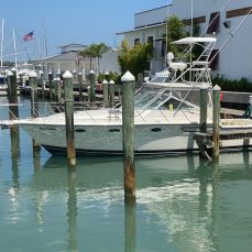 Gil Coombes profile photo