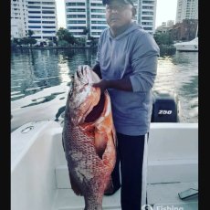 Cartagena Fishing profile photo