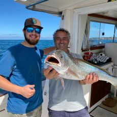 Dreamboats Portugal profile photo