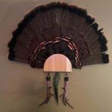 Full Send Fishing – 26' Ranger