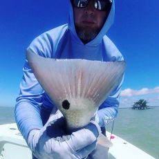 Armando Alejo, M.S. profile photo