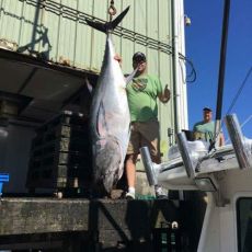 Jonathan Carey profile photo