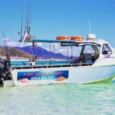 Oliver Gal profile photo