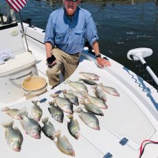 Classic Guide Service Llc profile photo