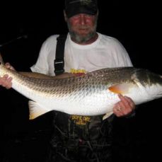 Froggy Thornton profile photo