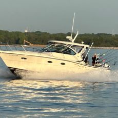 Jim Stepp profile photo