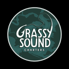 Anthony Procida profile photo