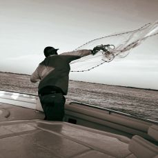 Kenneth Stewart profile photo