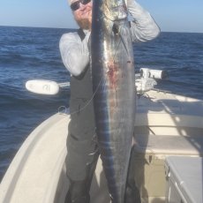 Matthew Le’Brasseur profile photo