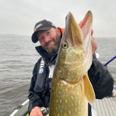 Juul Steyn profile photo