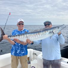 Daniel Cupertino profile photo