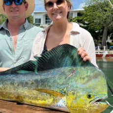 Riviera Maya Sport Fishing  profile photo