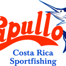 Capullo Sportfishing profile photo