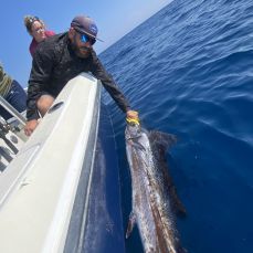 Jimmy Vee profile photo