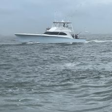 Carly A Sportfishing profile photo