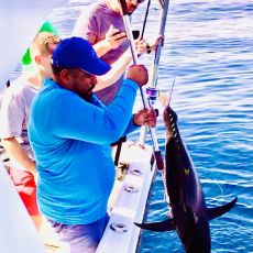 Riadh Jhinaoui profile photo