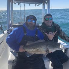 Tommy Grady profile photo