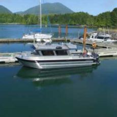 Curtis Chaplin profile photo