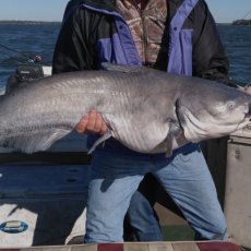 Homer Thomas profile photo