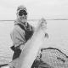 Marc Thorpe Guiding profile photo