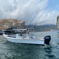 Chimar Fishing Charters profile photo