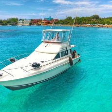 Carlos Herrera profile photo