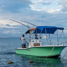 Juan Jose Sirias Rojas profile photo