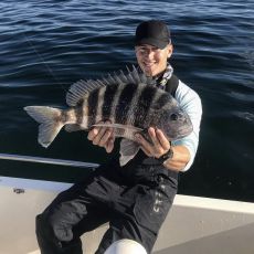 Sea Island Adventures profile photo