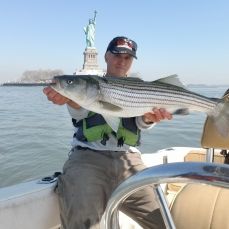 Joe Shastay profile photo