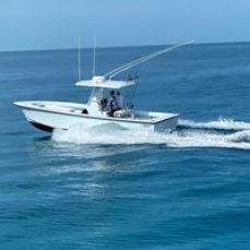 William Giliberti profile photo