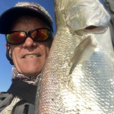 Marc Carey profile photo