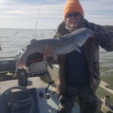 James Lee profile photo